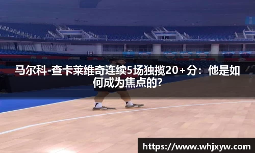 完美体育app下载安装