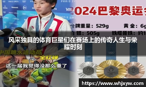 完美体育在线入口官网
