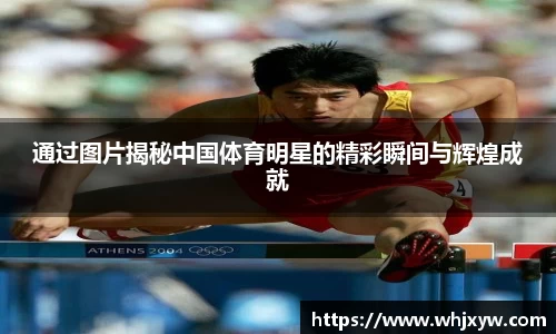 完美体育官网