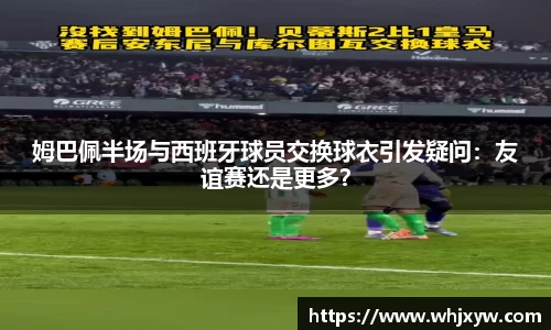 完美体育在线入口官网
