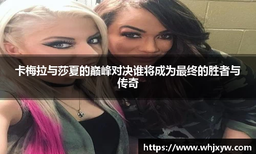 完美体育官网
